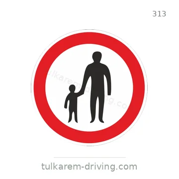 شاخصة المرور رقم 313